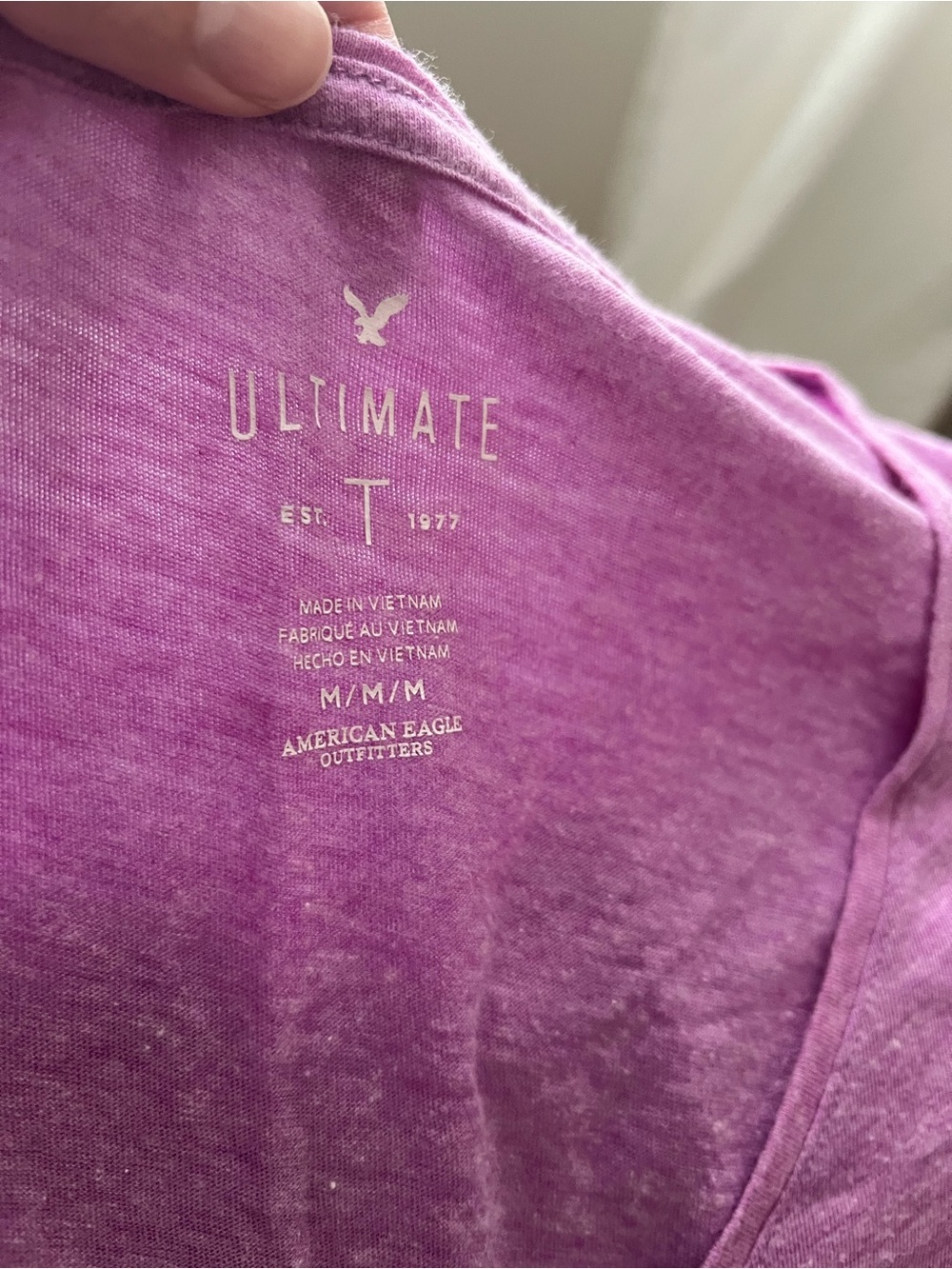 American Eagle Outfitters Ultimate Short Sleeve Tee in Purple